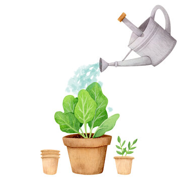 Gardening. Hand painted watercolor on white clip art graphic element for printable decoration.