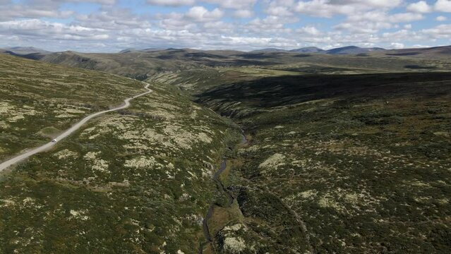 Norwegian autumn landscape with reindeer moss near Ringebu and National park Rondane. Norway.
