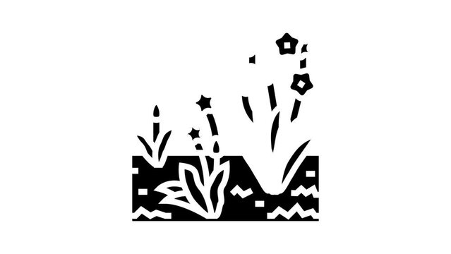 growth spring glyph icon animation