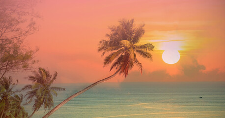 The holiday of Summer  holiday colorful theme with palm trees background as texture frame background