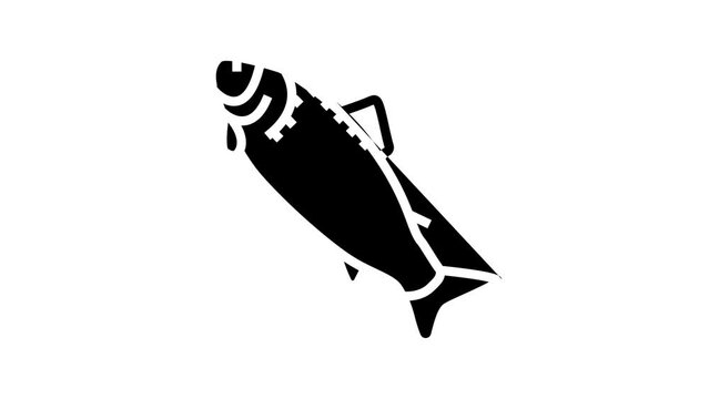 adult salmon line icon animation
