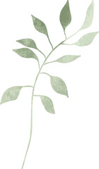 Watercolor leaf branch illustration