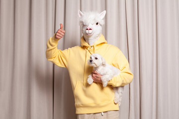 Portrait of person wearing lama mask in yellow hoodie holding little white dog showing thumb up on...