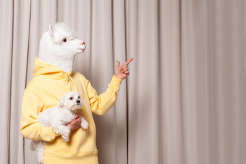 Creatieve lama persoon in gele hoodie met kleine witte hond en wijzende vinger omhoog op beige studio muur achtergrond