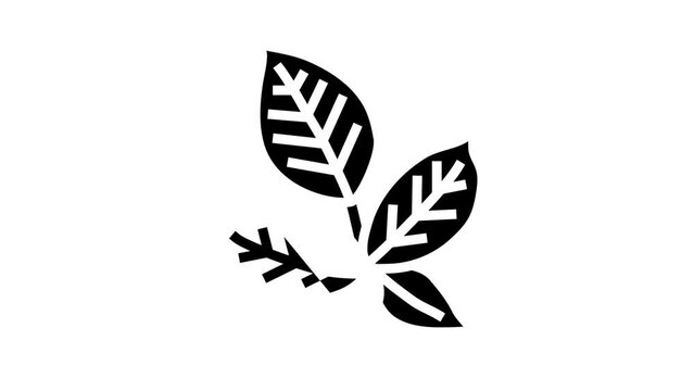 green blackberry leaf glyph icon animation