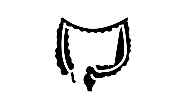 colon human organ glyph icon animation