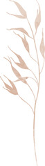 Watercolor leaf branch illustration