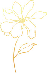 Gold flower illustration