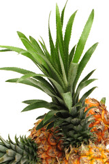 Pineapple on white background 