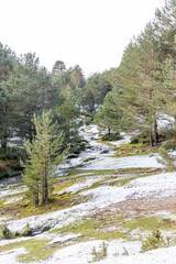 slightly snowy stream in the mountains of the Sierra de Guadarrama in Madrid with the first snow of the year 2022