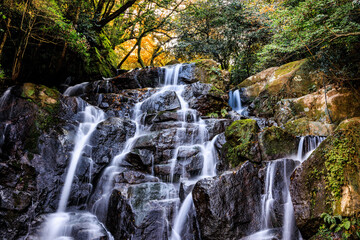 Obraz premium 白糸の滝 福岡県