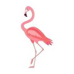 Flamingo cartoon illustration. Pink bird standing on one leg. Side view of exotic tropical bird isolated on white