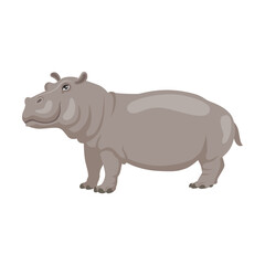 Hippopotamus illustration. African animal sitting, swimming in lake or river and standing on white background