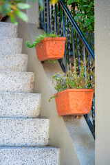 Staircase on front porch with hanging plant decorations and cement steps with black metal hand rail...