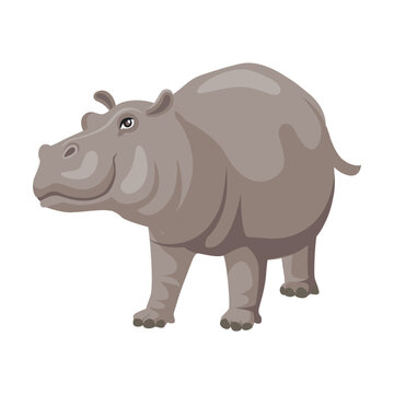 Hippo activity cartoon illustration. African animal sitting, swimming in lake or river and standing on white background