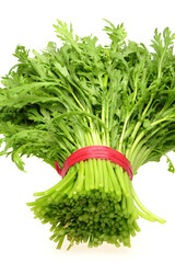 Shungiku, also known as tong hao, or edible chrysanthemum, Isolated on white. A leaf herb commonly used in asian food