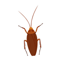 Harmful cockroach insect on white background cartoon illustration. Lady bug, beetle, grub, cockroach, roach, ant, butterfly