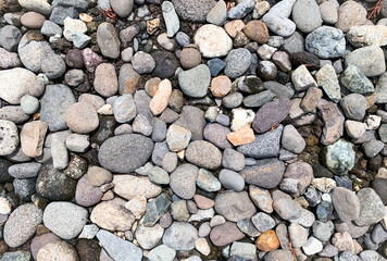 pebbles on the beach