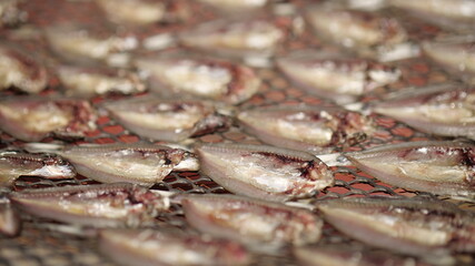 Backgrounds, dried fish