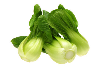 Pok Choi on white background