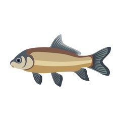 Freshwater fish cartoon illustration. Herring, mackerel, bream, catfish, sardine, halibut, anchovy isolated on white background. Seafood