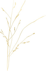 Gold wildflower illustration