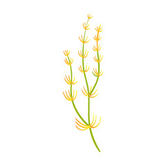 Seaweed plant, algae cartoon, flat vector illustration. Beautiful mythical creature with underwater animals isolated on white