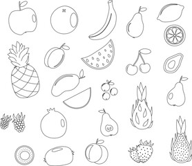 Doodle fruits. Natural tropical fruit, doodles citrus orange and lemon. Vegan kitchen hand drawn icons set, vegetarian food, organic fruits. Vector line illustration isolated.