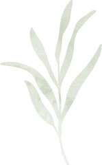 Fototapeta na wymiar Watercolor leaf branch illustration