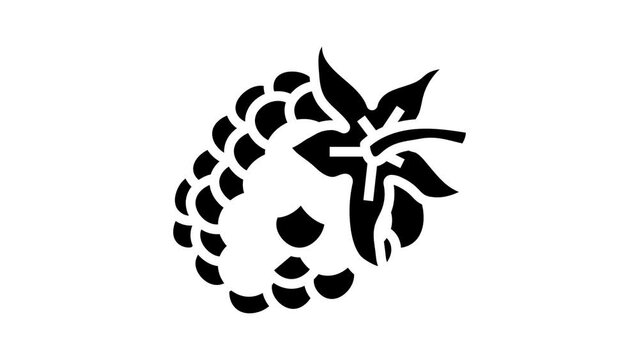 blackberry berry glyph icon animation