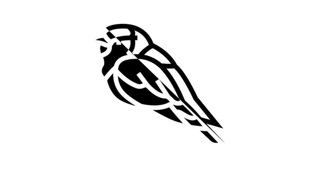 lilac breasted roller bird exotic line icon animation