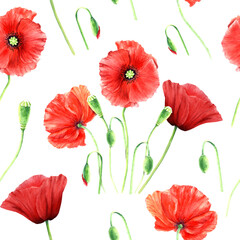 Obraz premium Seamlesss pattern with wild poppies isolated on white background