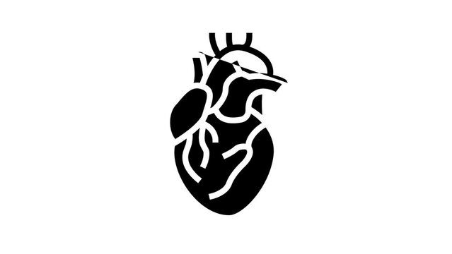 heart human organ line icon animation