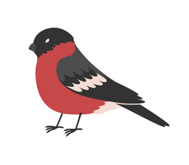 Hand drawn cute cartoon illustration of standing bullfinch. Flat vector winter bird character sticker in colored doodle style. Christmas, New Year, Xmas icon or print. Isolated on background.