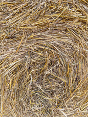 Round hay bale