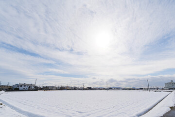 Fototapeta premium Midwinter snowfield, dusk just before sunset