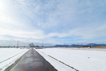 A field of snow in midwinter, a straight stretch of doro
