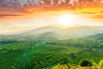 green beautiful valley with gardens and plantations and amazing mountains on background during sunset or sunrise