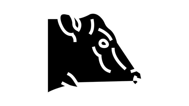 cow animal zoo glyph icon animation