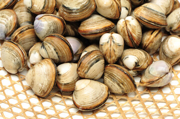 Stacked fresh raw clams background