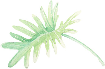Watercolor leaf 