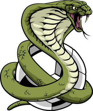 green king cobra snake 8769502 Vector Art at Vecteezy