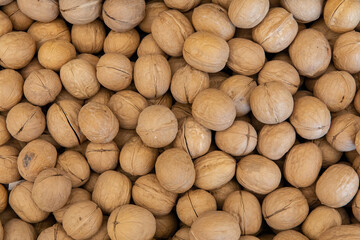 Natural organic walnut background pattern or texture