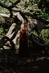 Obraz premium Chica joven con vestido rojo en zona boscosa y castillo medieval posando