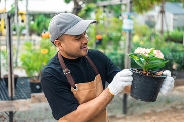Happy gardener man in gloves and apron plants flowers in greenhouse. Florists man working gardening in the backyard. Flower care harvesting. Planting in pot with dirt or soil