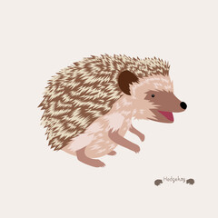 hedgehog
