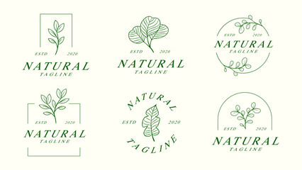 Set of natural plant logo template