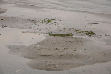 coast and beach in cloudy weather