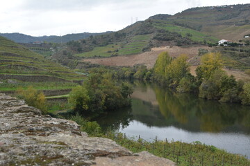 Fototapeta na wymiar Vineyards in the Douro Valley in Portugal
