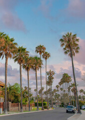 Fototapeta premium Vertical Puffy clouds at sunset Residential area at La Jolla in California with palm trees along